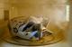 How To Remove Burnt Popcorn Smell From Your Home